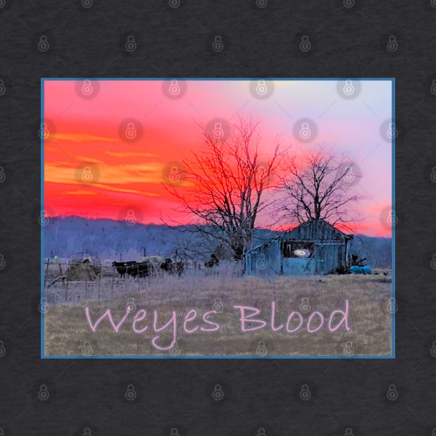 Weyes Blood by Noah Monroe